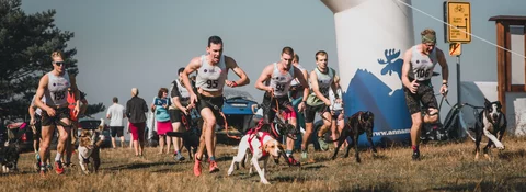 Start canicrossového závodu: skupina závodníků s připoutanými psy vyráží ze startu na travnatém poli za slunečného dne, v pozadí diváci a značení trati.