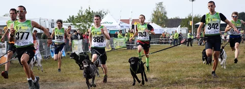 Skupina běžců v závodu canicross táhne psy na bungee vodítkách po travnaté trati, diváci a stánky v pozadí.