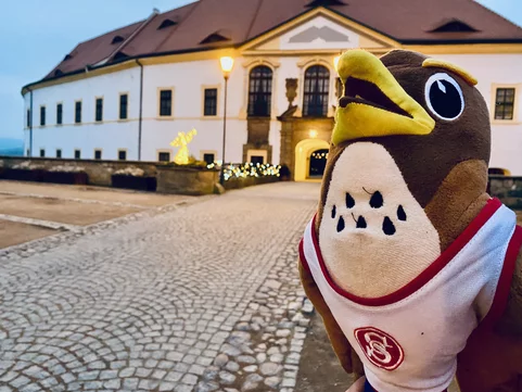 Plyšový maskot ve tvaru sokola v bílém a červeném dresu v popředí, na dlážděné cestě před historickou budovou děčínského zámku ozdobenou vánočními světly.